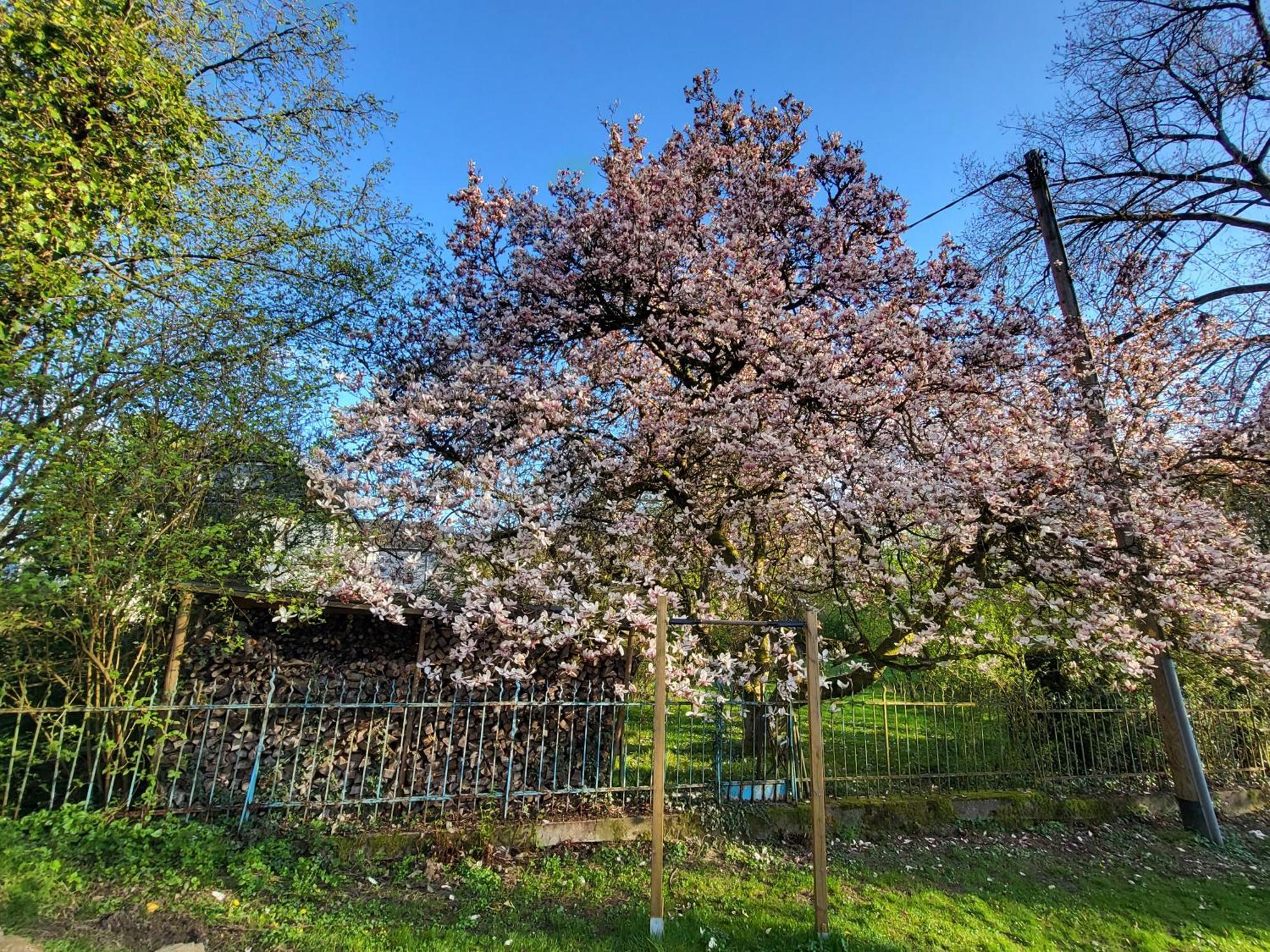 Bergischer Hof - Bergischer Hofgarten Windeck Ngoại thất bức ảnh